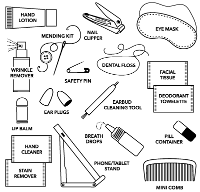 Frequent Flyer Travel Kit